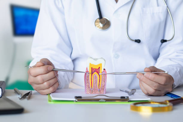 Best Emergency Orthodontic Repairs in Fabens, TX